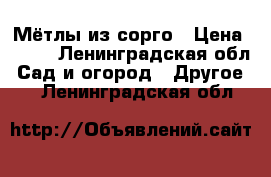 Мётлы из сорго › Цена ­ 400 - Ленинградская обл. Сад и огород » Другое   . Ленинградская обл.